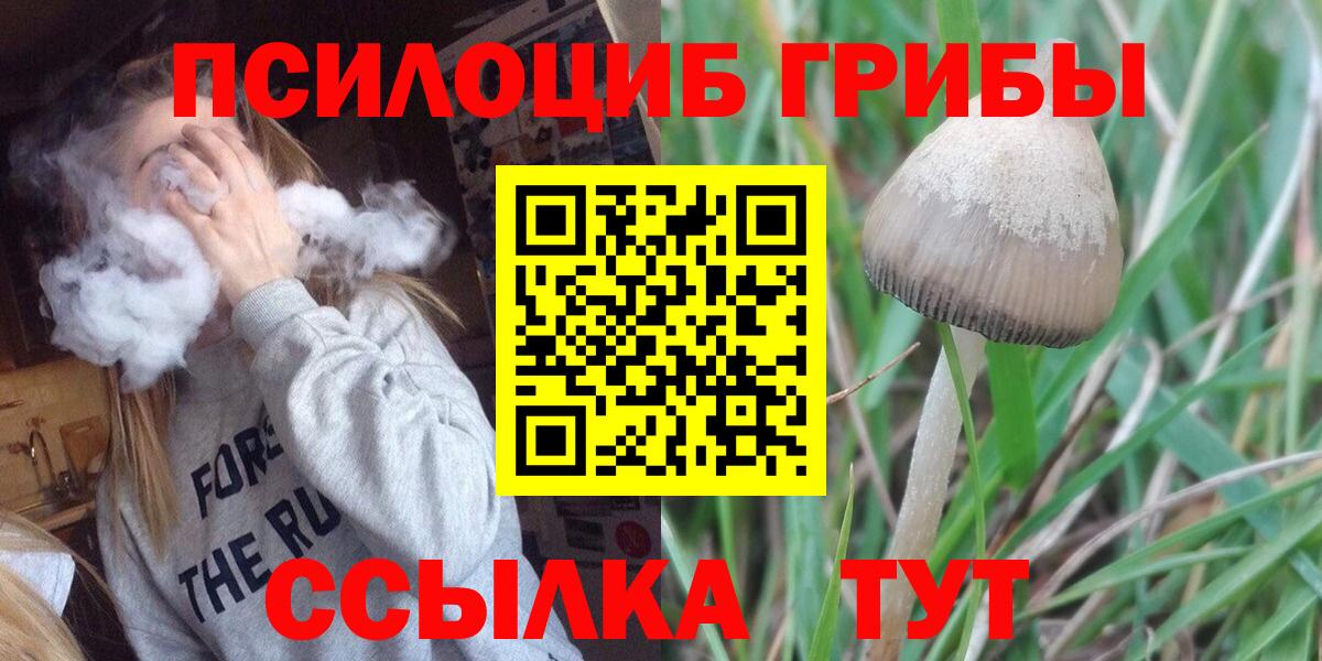 Галлюциногенные грибы GOLDEN TEACHER  Вход с VPN  Калининград 